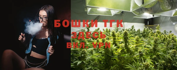 спиды Чекалин