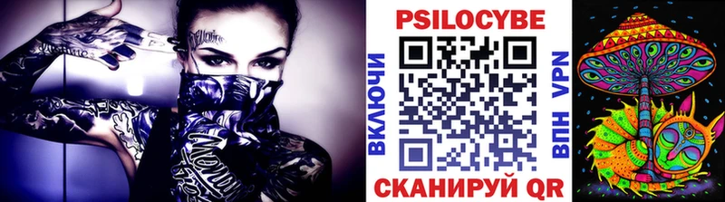 Псилоцибиновые грибы Psilocybe  Задонск 